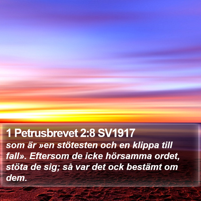 1 Petrusbrevet 2:8 SV1917 Bible Study