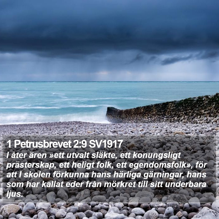 1 Petrusbrevet 2:9 SV1917 Bible Study