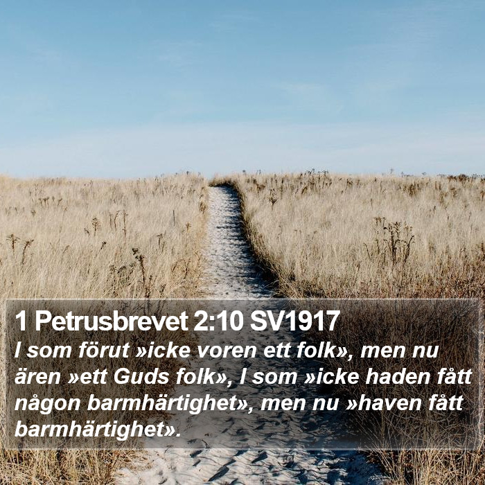 1 Petrusbrevet 2:10 SV1917 Bible Study