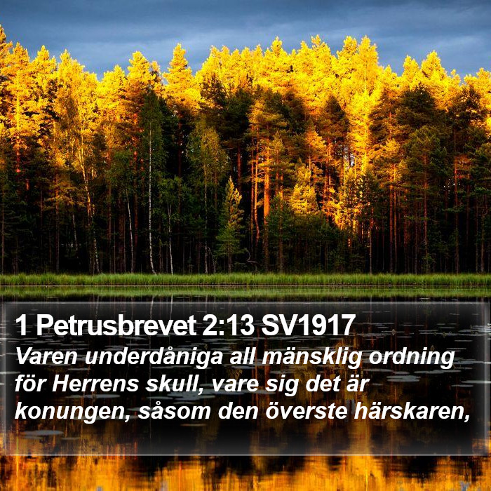 1 Petrusbrevet 2:13 SV1917 Bible Study