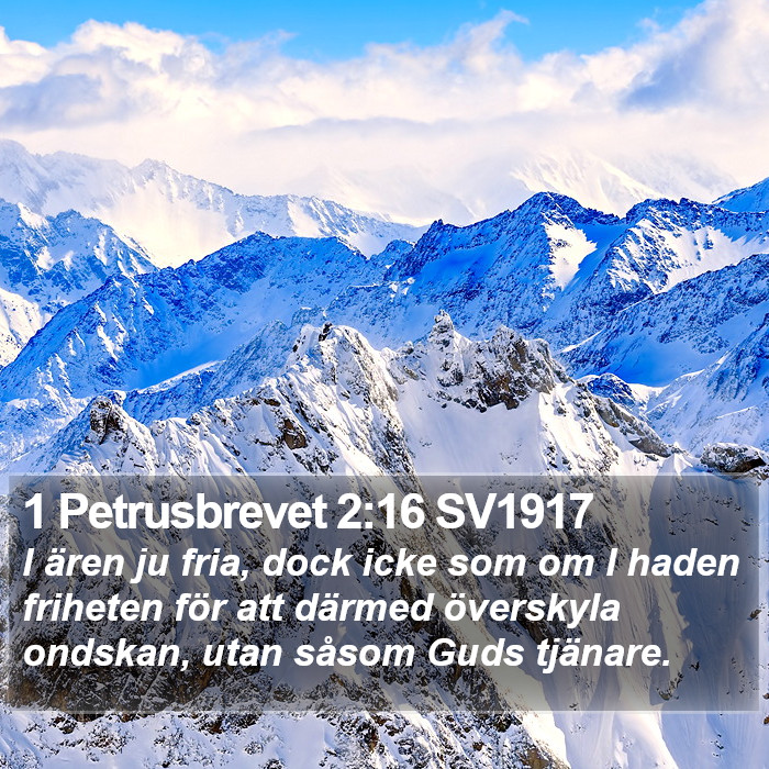 1 Petrusbrevet 2:16 SV1917 Bible Study