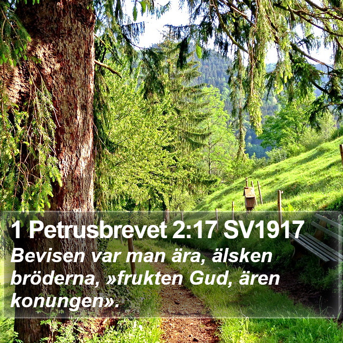 1 Petrusbrevet 2:17 SV1917 Bible Study