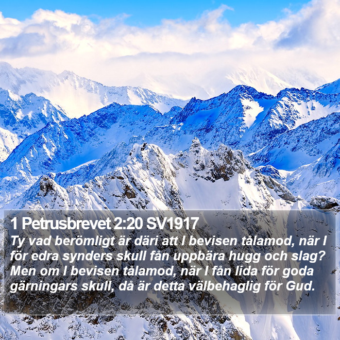 1 Petrusbrevet 2:20 SV1917 Bible Study