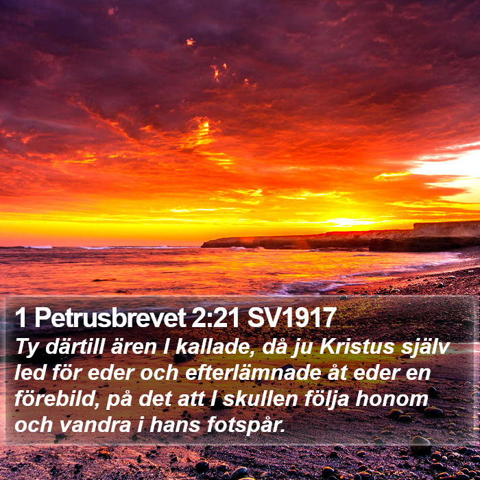 1 Petrusbrevet 2:21 SV1917 Bible Study