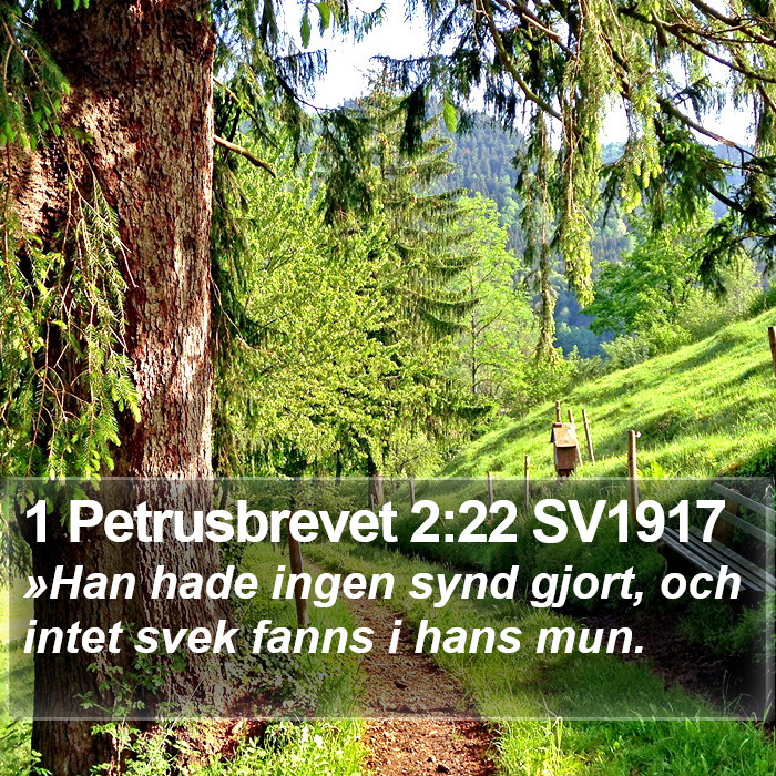 1 Petrusbrevet 2:22 SV1917 Bible Study