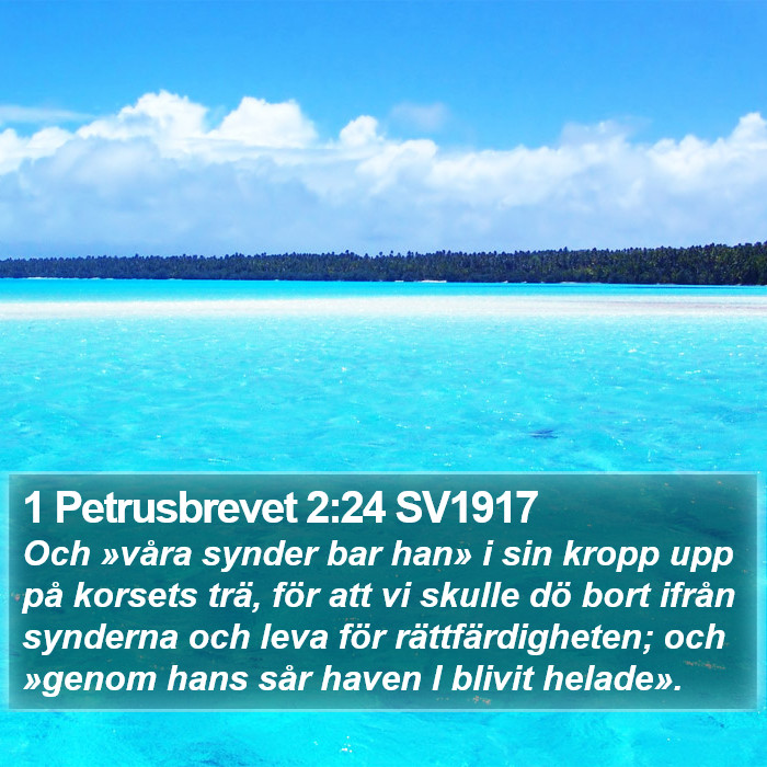 1 Petrusbrevet 2:24 SV1917 Bible Study