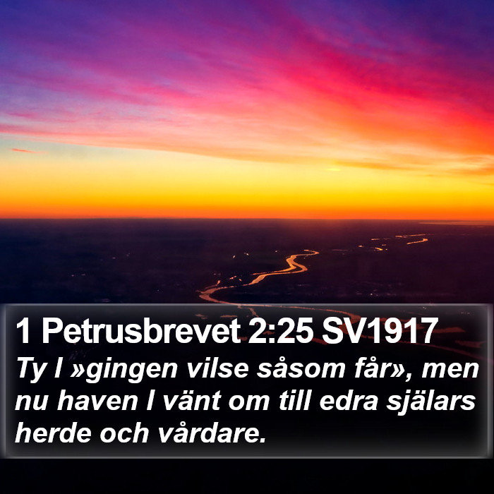1 Petrusbrevet 2:25 SV1917 Bible Study