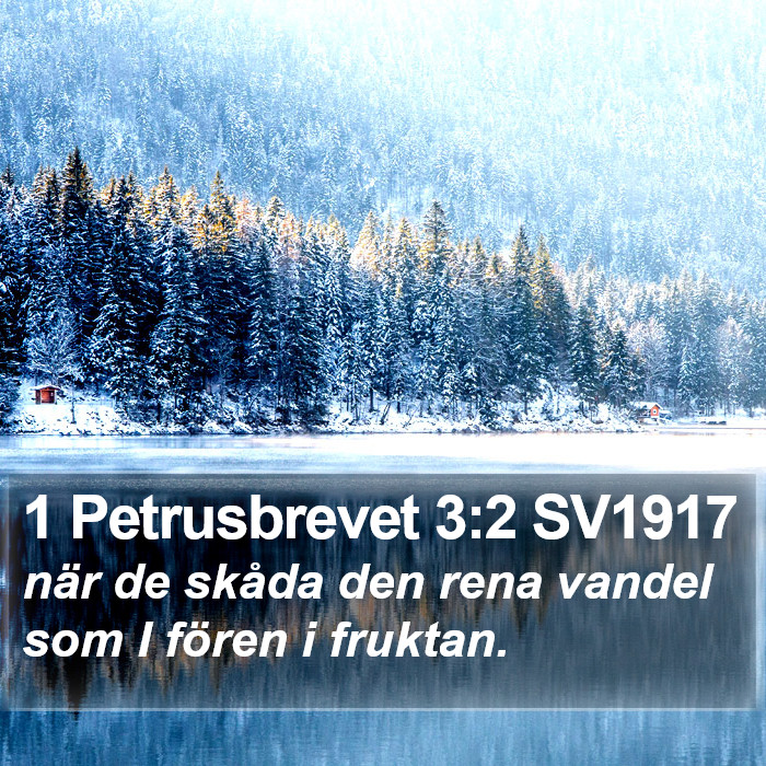 1 Petrusbrevet 3:2 SV1917 Bible Study