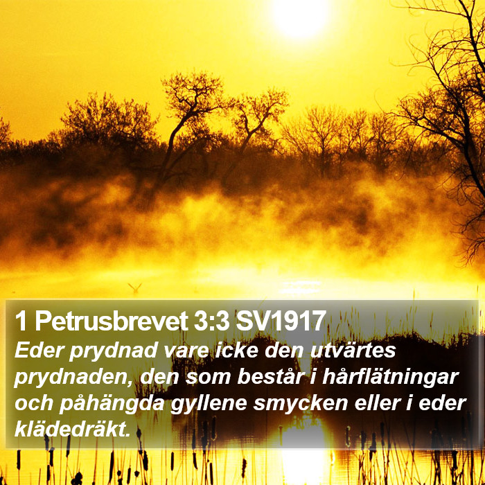 1 Petrusbrevet 3:3 SV1917 Bible Study