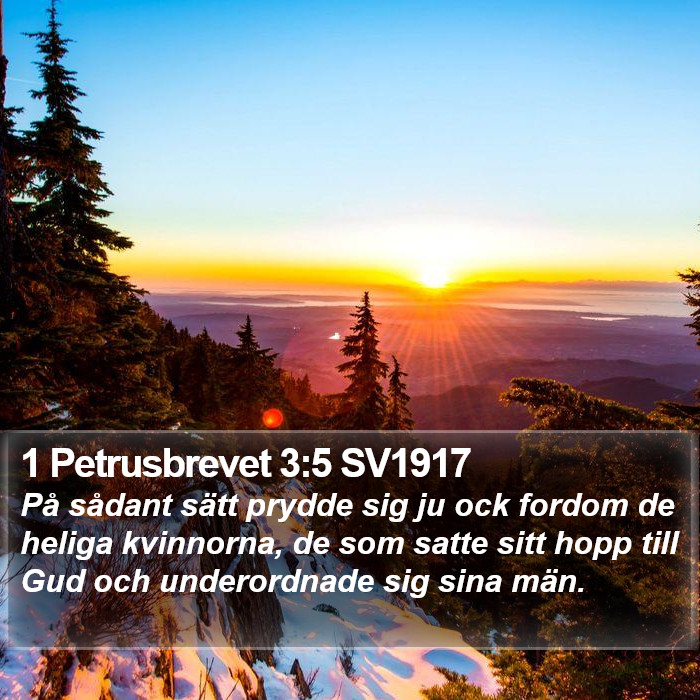 1 Petrusbrevet 3:5 SV1917 Bible Study