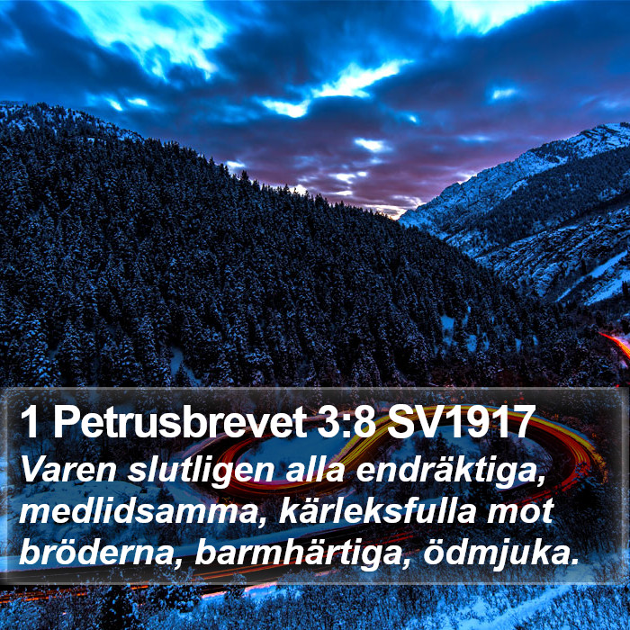 1 Petrusbrevet 3:8 SV1917 Bible Study