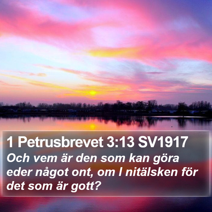 1 Petrusbrevet 3:13 SV1917 Bible Study