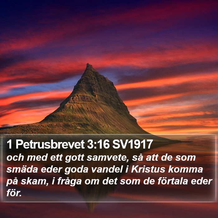 1 Petrusbrevet 3:16 SV1917 Bible Study