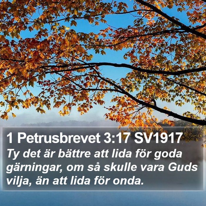 1 Petrusbrevet 3:17 SV1917 Bible Study