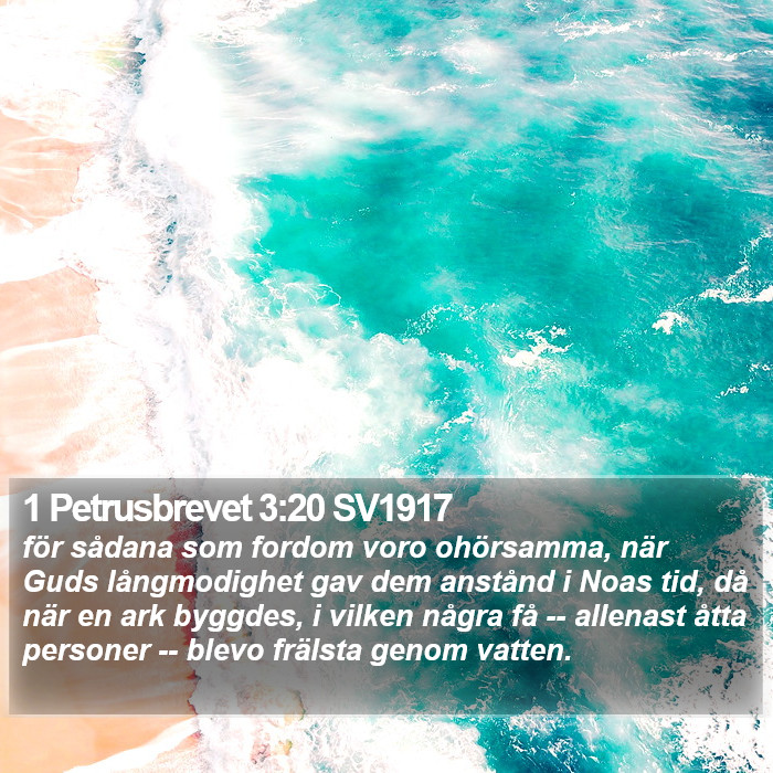 1 Petrusbrevet 3:20 SV1917 Bible Study