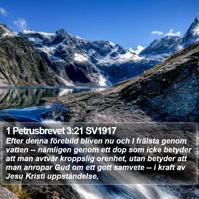 1 Petrusbrevet 3:21 SV1917 Bible Study