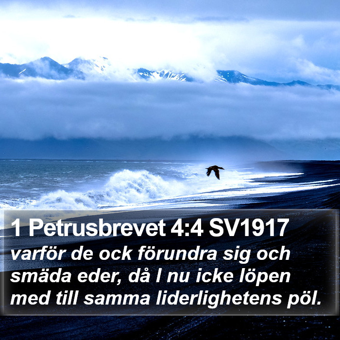 1 Petrusbrevet 4:4 SV1917 Bible Study