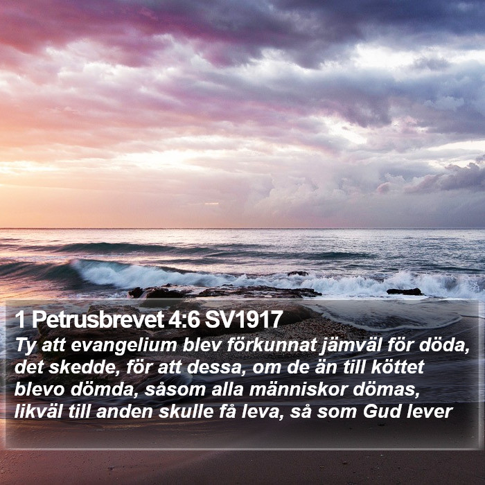 1 Petrusbrevet 4:6 SV1917 Bible Study