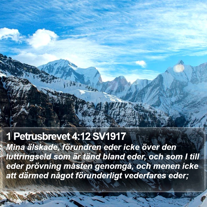 1 Petrusbrevet 4:12 SV1917 Bible Study