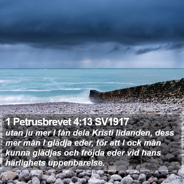 1 Petrusbrevet 4:13 SV1917 Bible Study
