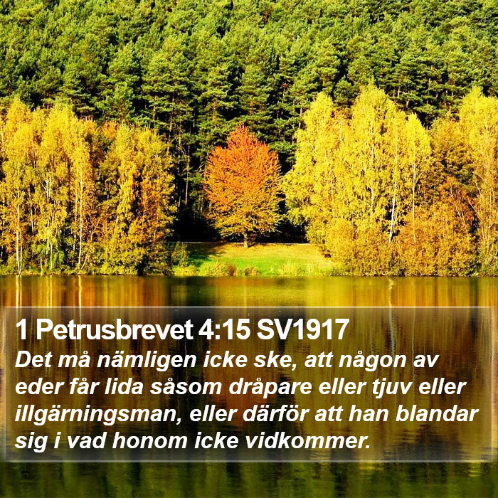 1 Petrusbrevet 4:15 SV1917 Bible Study