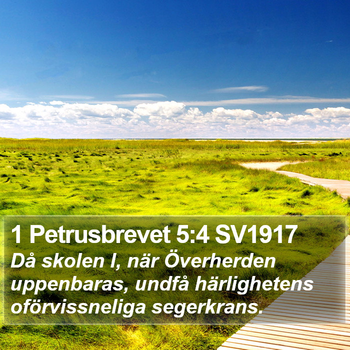 1 Petrusbrevet 5:4 SV1917 Bible Study