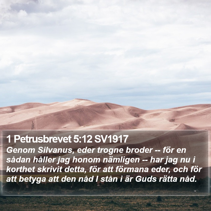 1 Petrusbrevet 5:12 SV1917 Bible Study