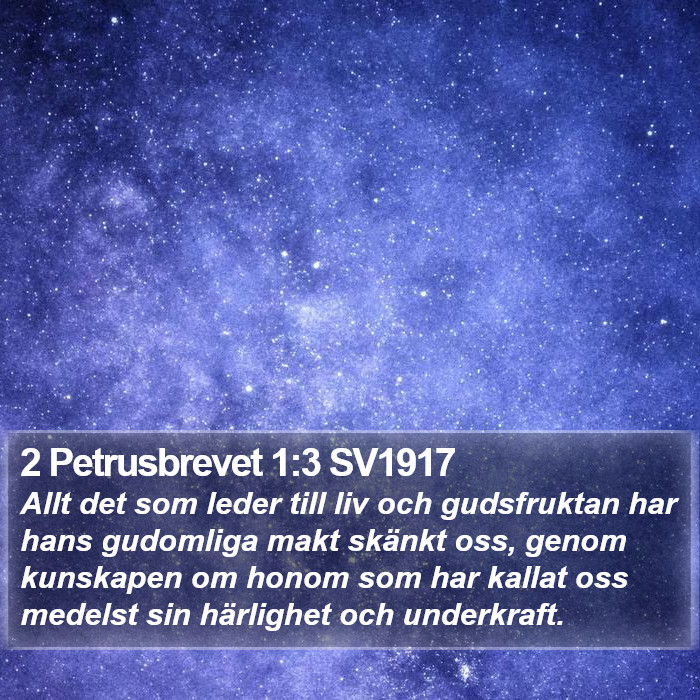 2 Petrusbrevet 1:3 SV1917 Bible Study