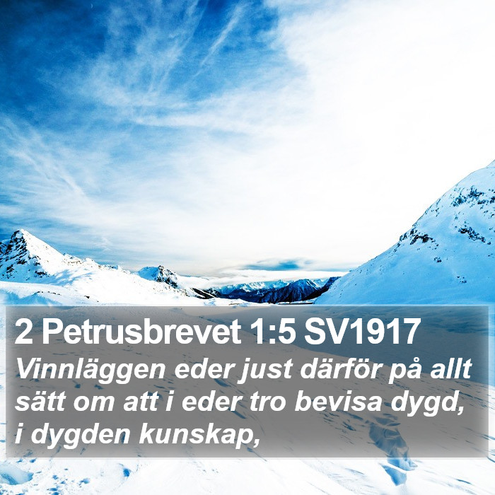 2 Petrusbrevet 1:5 SV1917 Bible Study