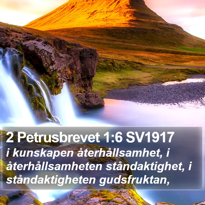 2 Petrusbrevet 1:6 SV1917 Bible Study