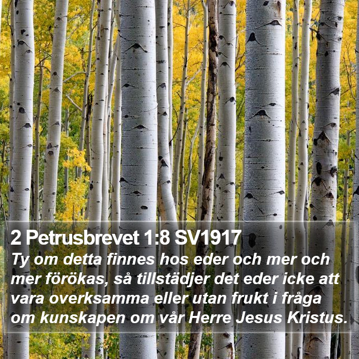 2 Petrusbrevet 1:8 SV1917 Bible Study