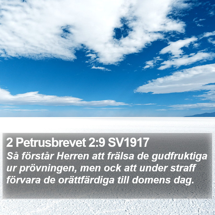 2 Petrusbrevet 2:9 SV1917 Bible Study