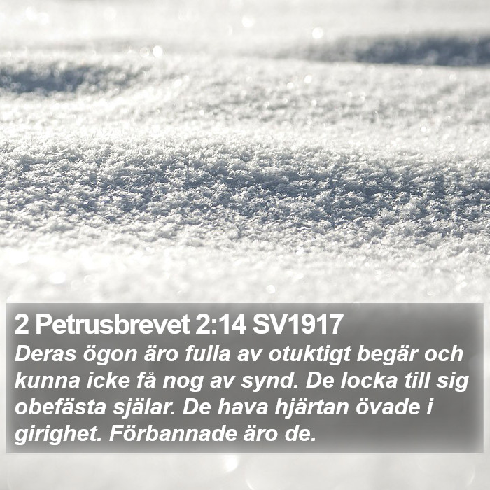 2 Petrusbrevet 2:14 SV1917 Bible Study