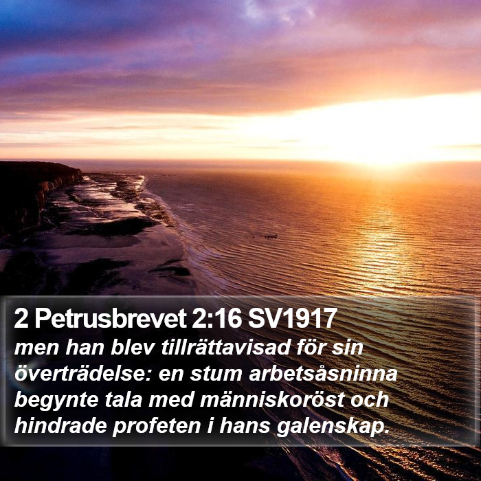 2 Petrusbrevet 2:16 SV1917 Bible Study