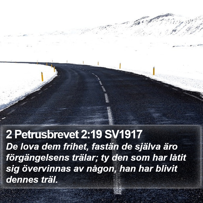 2 Petrusbrevet 2:19 SV1917 Bible Study