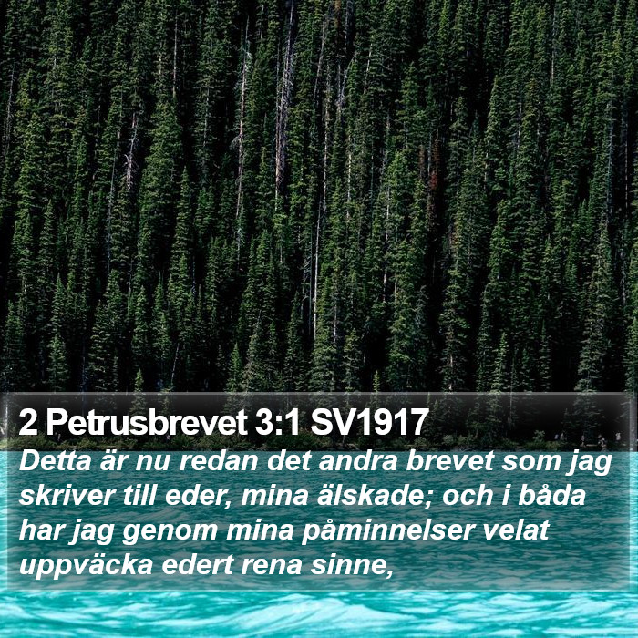 2 Petrusbrevet 3:1 SV1917 Bible Study