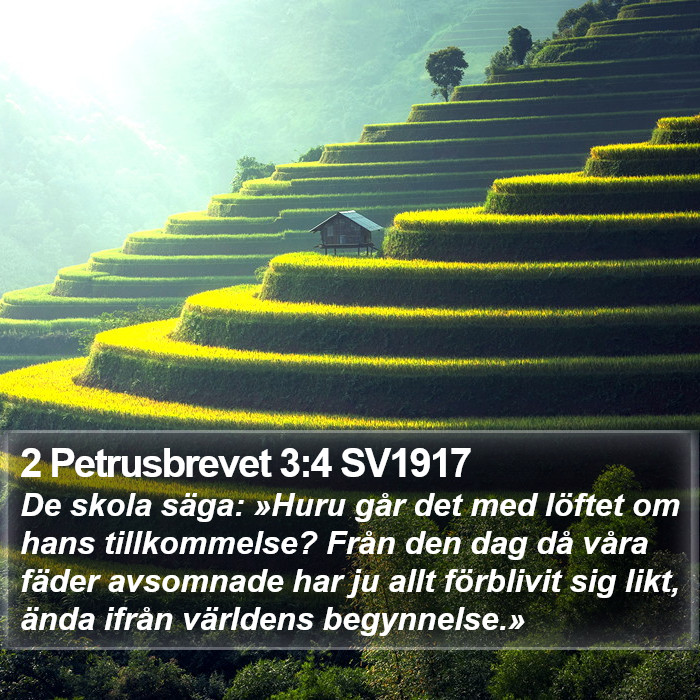 2 Petrusbrevet 3:4 SV1917 Bible Study