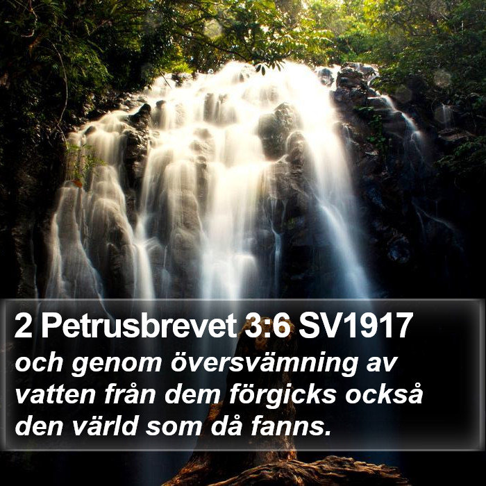 2 Petrusbrevet 3:6 SV1917 Bible Study