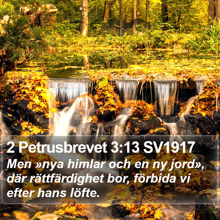 2 Petrusbrevet 3:13 SV1917 Bible Study