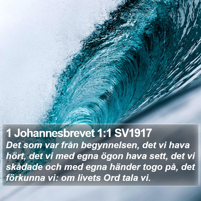 1 Johannesbrevet 1:1 SV1917 Bible Study