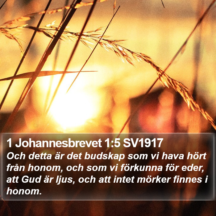 1 Johannesbrevet 1:5 SV1917 Bible Study