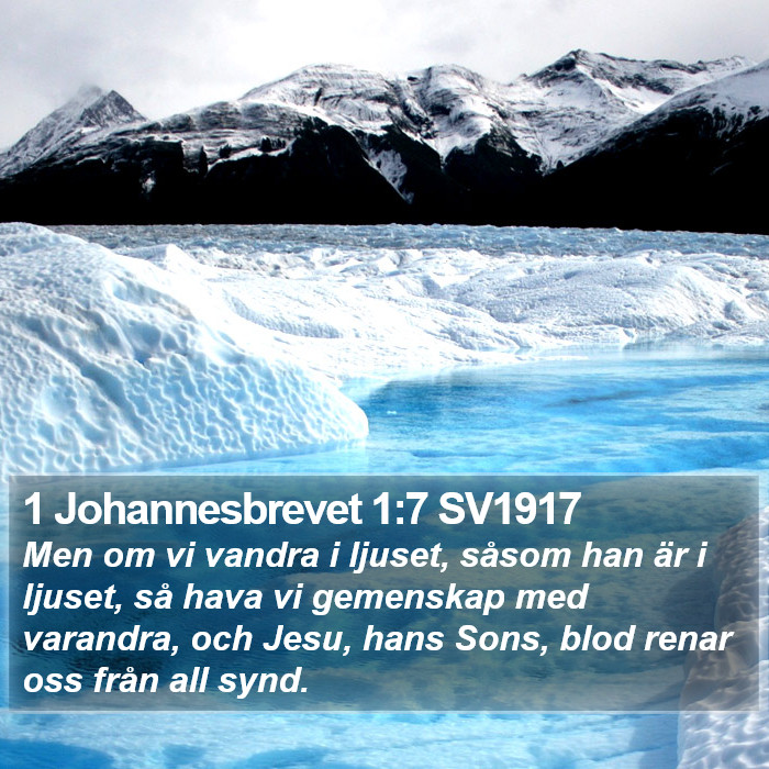 1 Johannesbrevet 1:7 SV1917 Bible Study