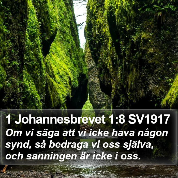 1 Johannesbrevet 1:8 SV1917 Bible Study