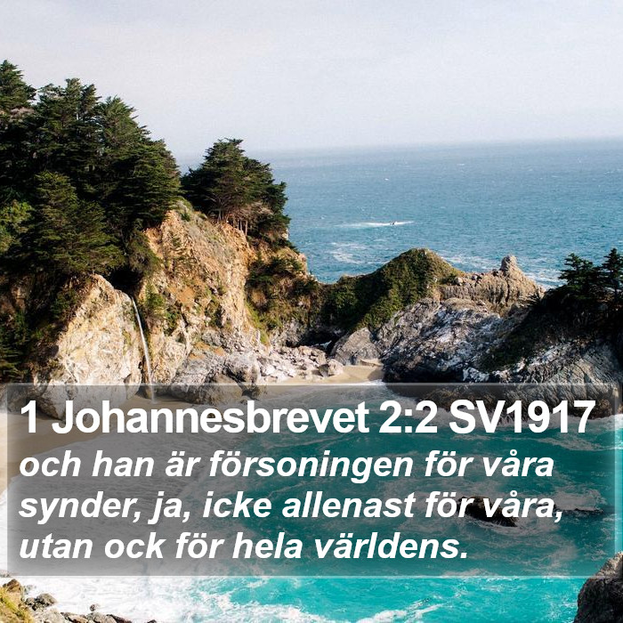 1 Johannesbrevet 2:2 SV1917 Bible Study