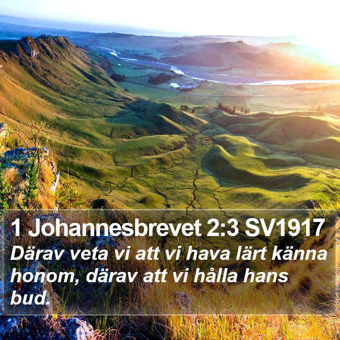 1 Johannesbrevet 2:3 SV1917 Bible Study