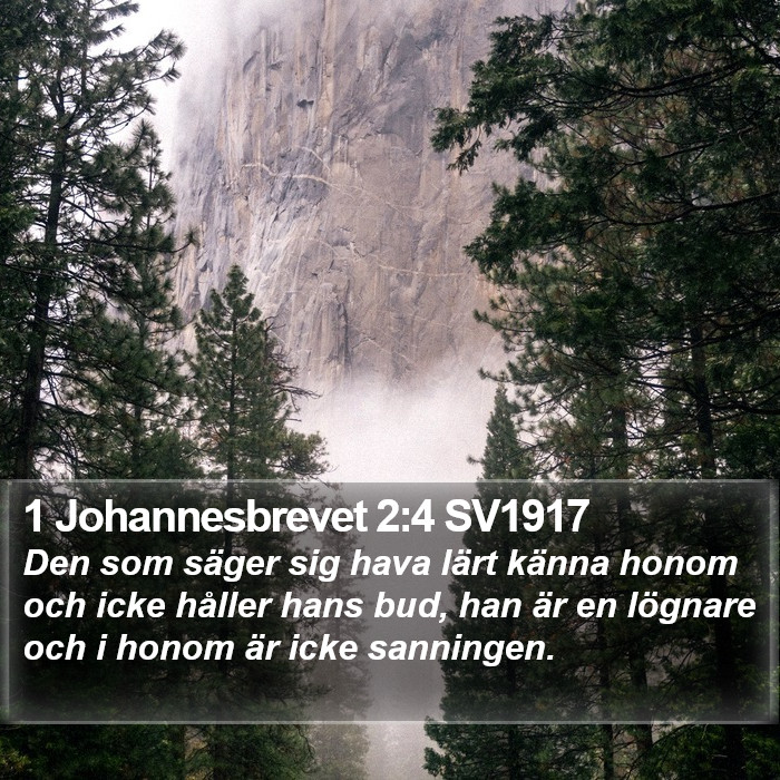 1 Johannesbrevet 2:4 SV1917 Bible Study