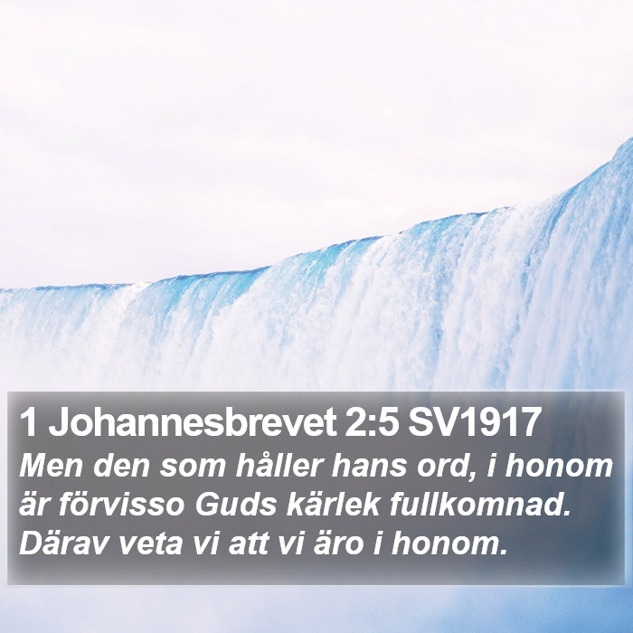 1 Johannesbrevet 2:5 SV1917 Bible Study