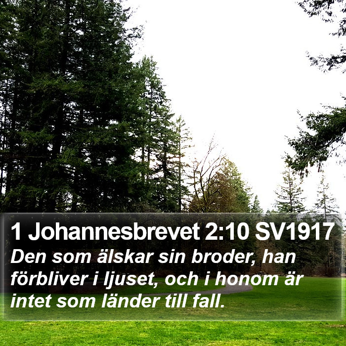 1 Johannesbrevet 2:10 SV1917 Bible Study