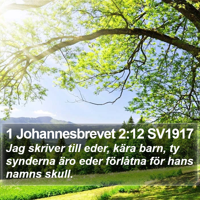 1 Johannesbrevet 2:12 SV1917 Bible Study