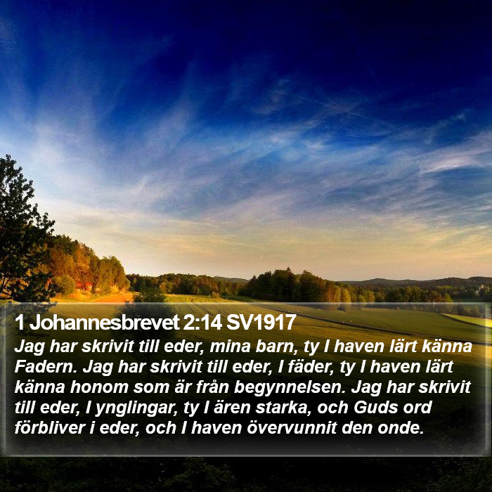 1 Johannesbrevet 2:14 SV1917 Bible Study